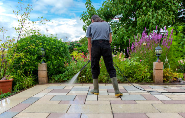 Best Spring Cleaning  in Windsor, CA